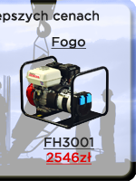 Agregat Fogo FH3001
